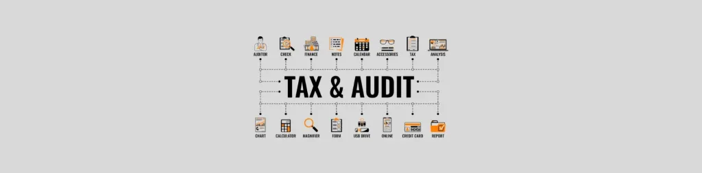 US IRA Inflation Reduction IRS Tax Audit